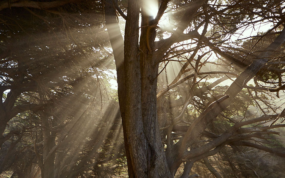 asiagame(中国)asiagaming